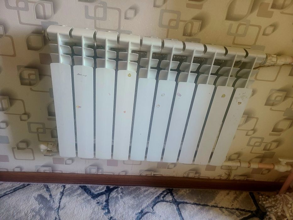 Radiator Bi metall радиатор алюмин