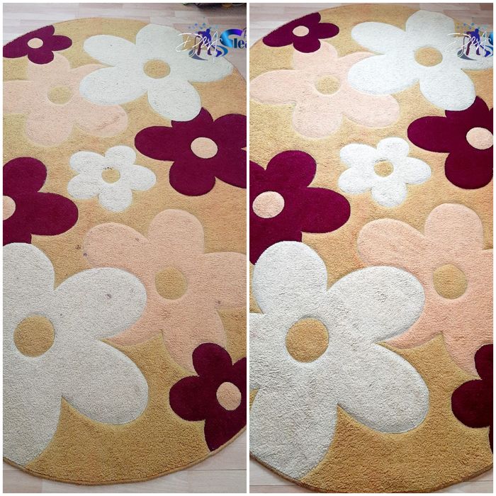 Spălare-curățare profesională saltele,canapele,covoare