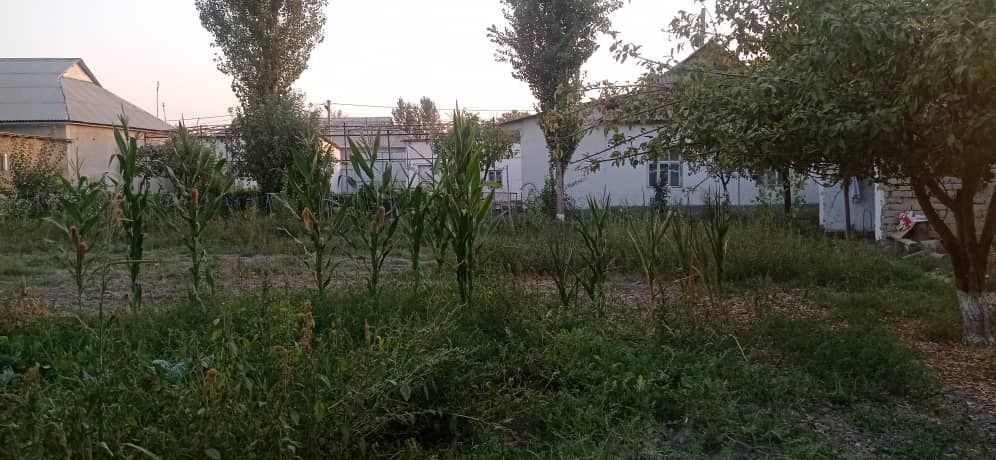 Uy sotiladi jami xonasi 10