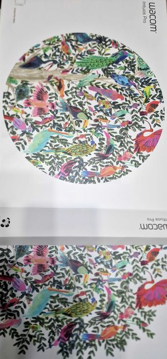 Креативен графичен таблет Wacom Intuos Pro Paper M (PTH-660P-N)