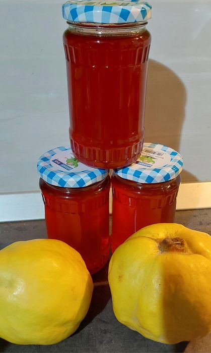 Peltea de gutui, bio