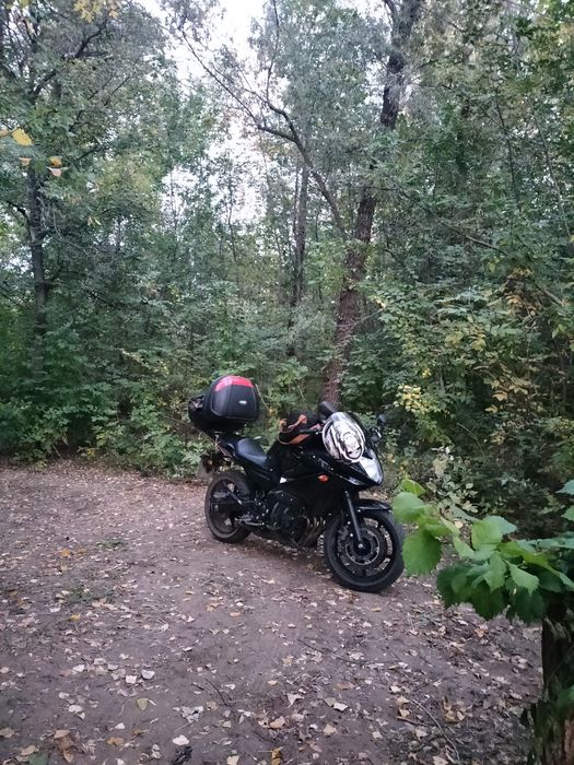 Yamaha xj6s Diversia