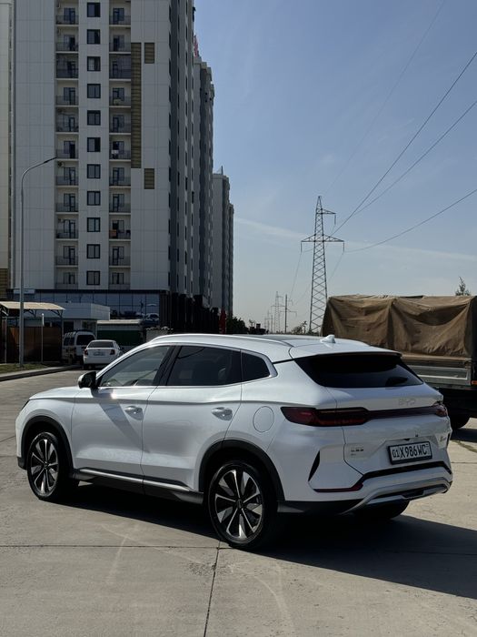 Byd Chempion Restailing 2024/25