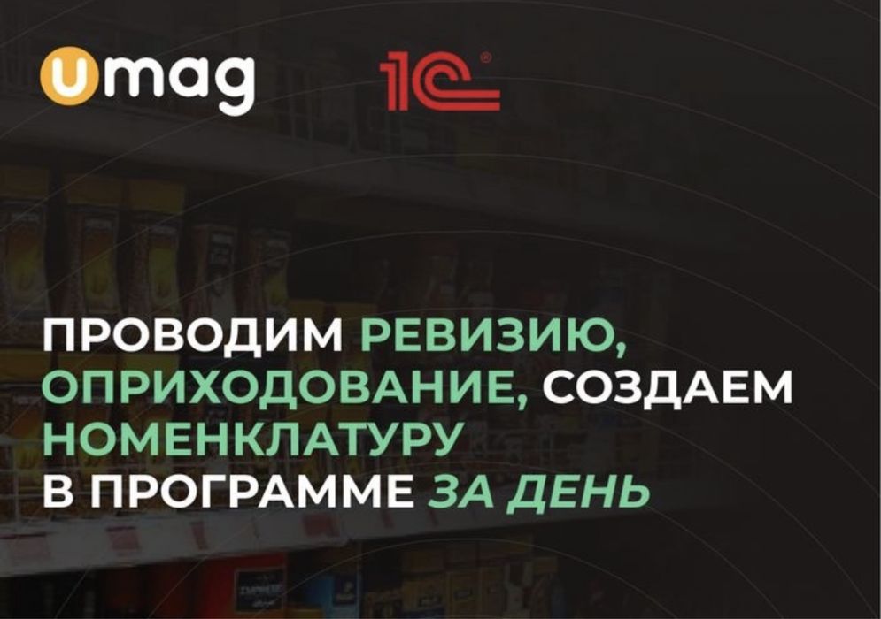 Ревизия UMAG Инвентаризация Оприходование Ревизор