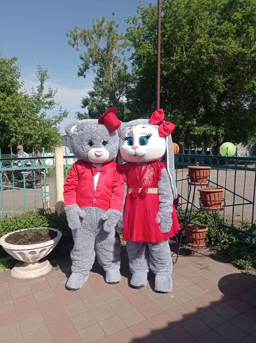 Костюмы анимации