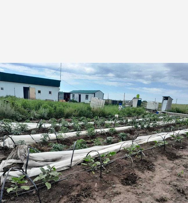 Откормочная база