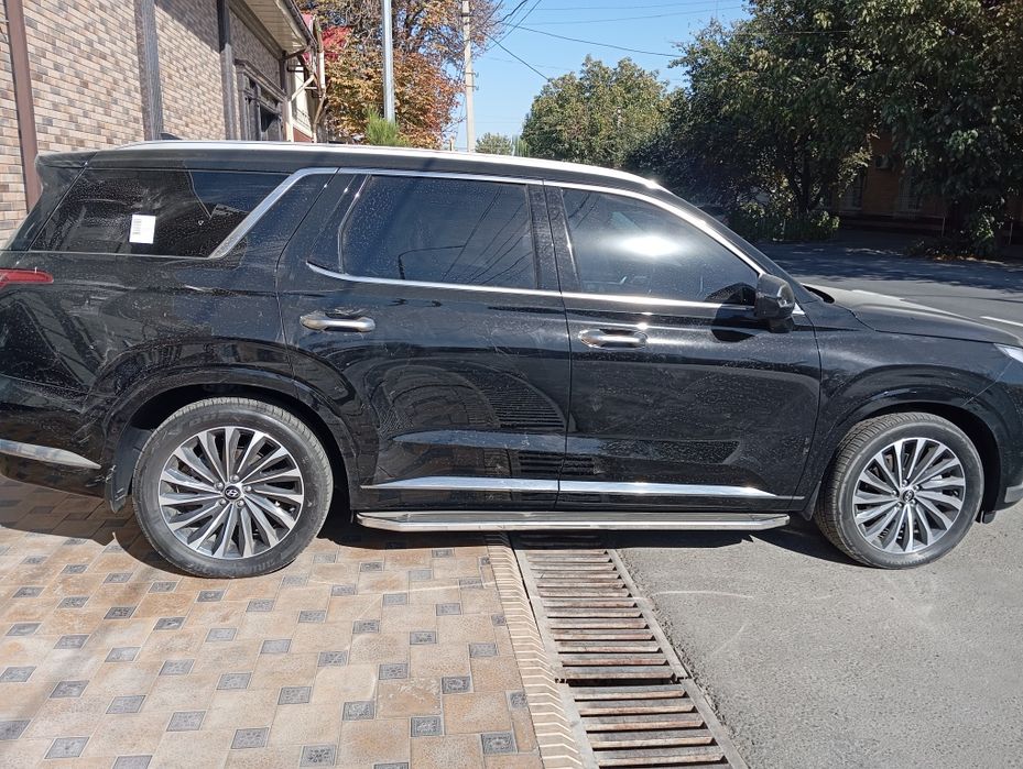 PALISADE  Сотилади
