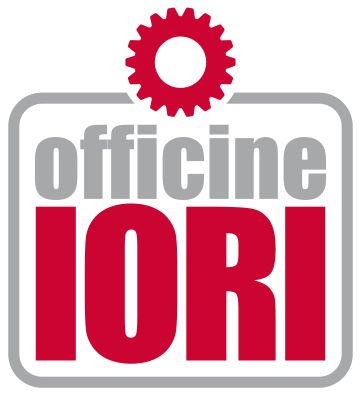 Electropalan Prof IORI Brat Extensibil 300 kg 40m IORI-DM300AP-ELEF40m