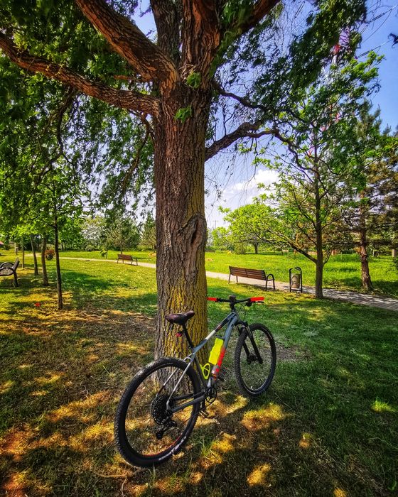 Cube analog cmpt 2023 flashgrey 29