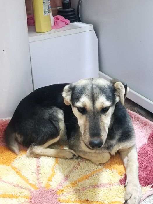 Zara, 6 месяцев, такая умная