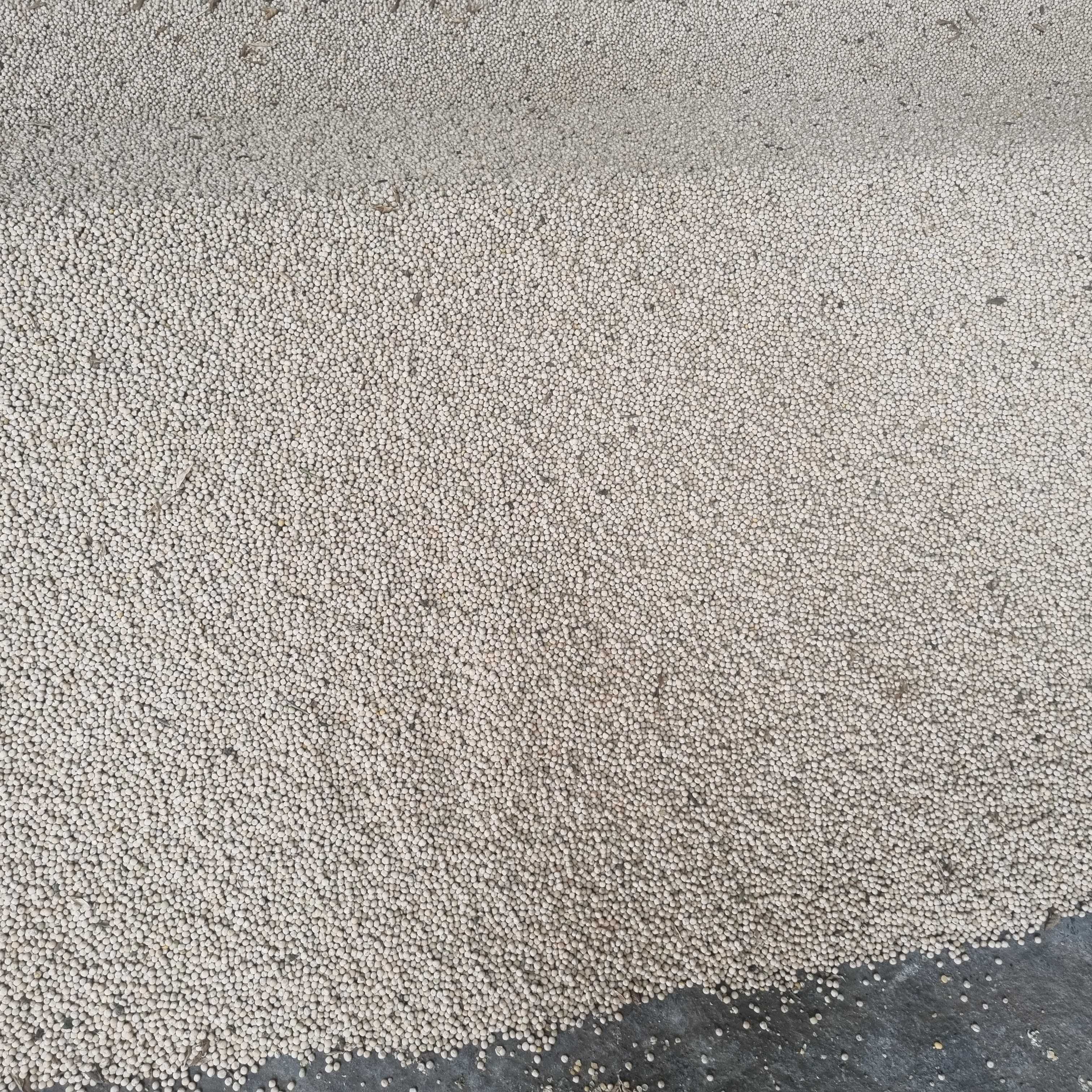 Mazare de toamna Frosen C 1