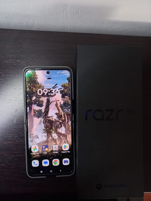 Motorola razr 50