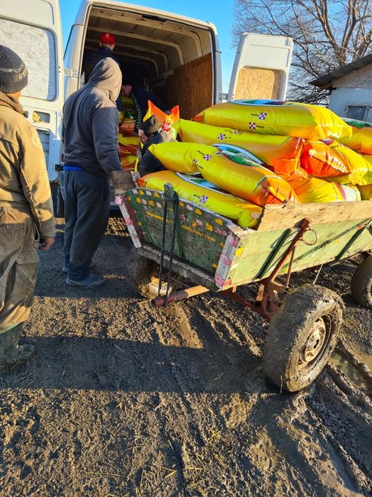 Vand furaje Miei PURINA