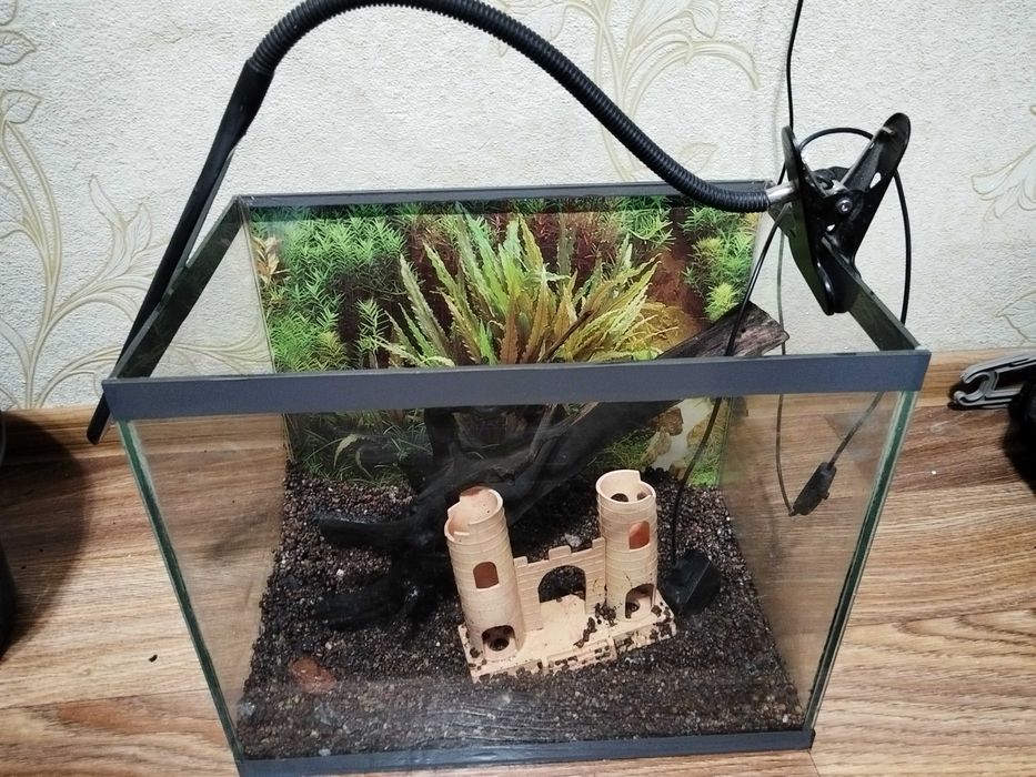 Продам аквариум.     .