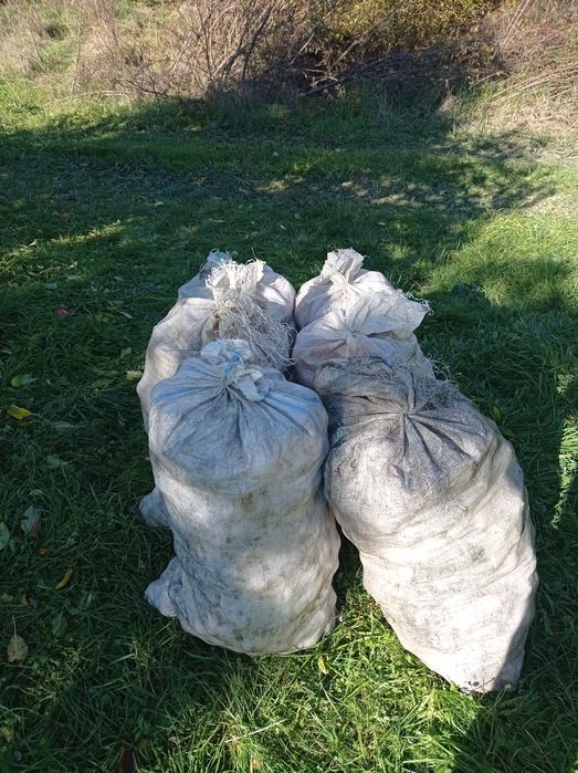 Mere de vînzare pentru suc sau borhot la 1,5 lei kg.