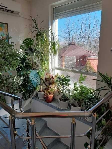 Продава се Къща в с. Михилци, Област Пловдив - 260 кв.м за 412 €/кв.м - Снимка #2