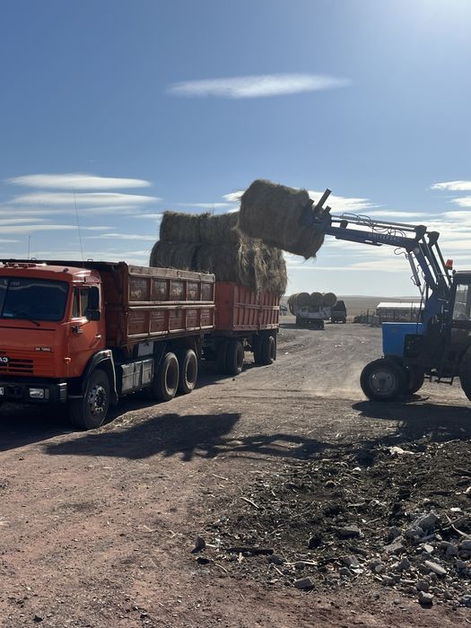 Продам сено с доставкой