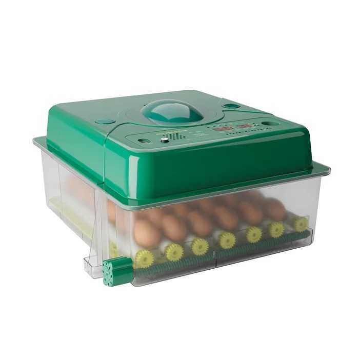 Incubator Clocitoare Automat 36 Oua Gaina Pui Sanatosi LivratGRATUIT G