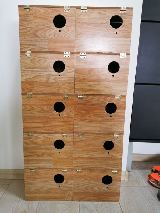 Vând cuiburi pentru papagali