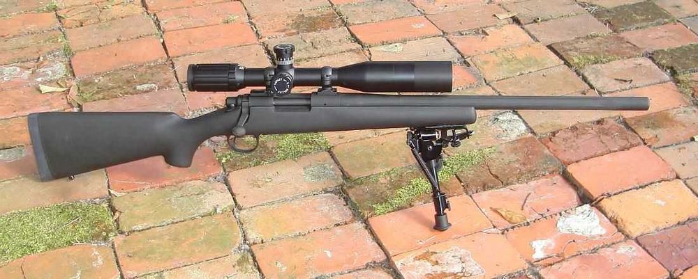 Pusca Airsoft Vanatoare cu Luneta Putere 4j / Calibru 6mm/ ARC