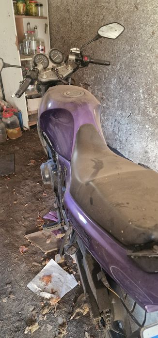 Suzuki gs 500 functional