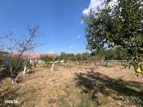 Teren intravilan de vanzare | Tileagd | jud. Bihor