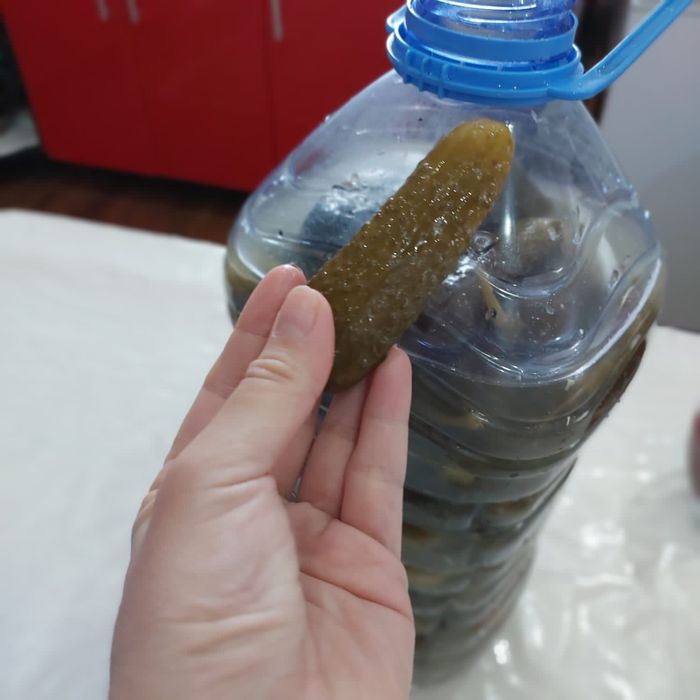 Огурцы соленые