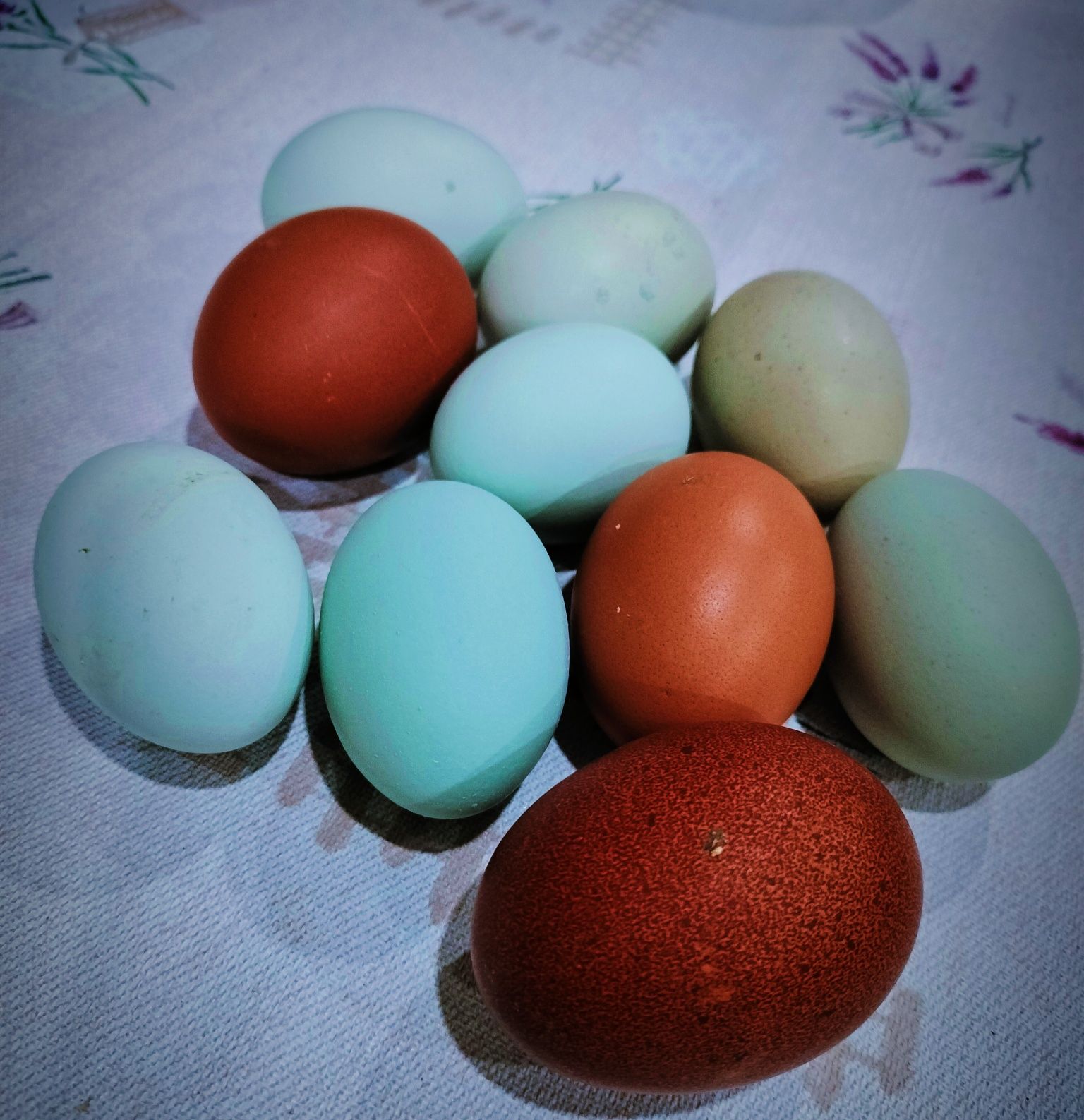 Vând ouă ptr incubat cu precomandă