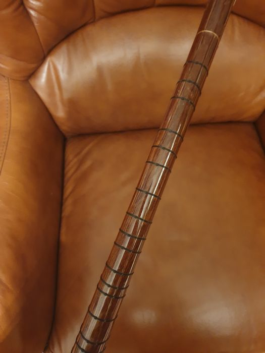 Electro Baglama Saz  /chitara turceasca