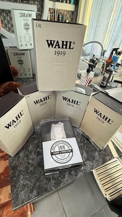 Wahl 1919 100year