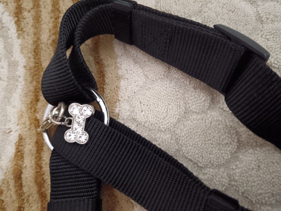 Lesa și ham pentru câini