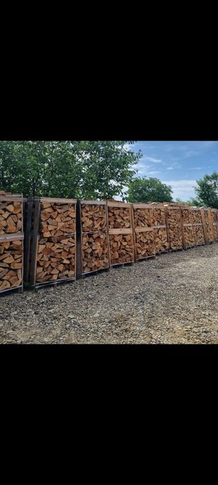 Lemne de foc  deseuri laturoaie rasinoase paleti mari bustean fag