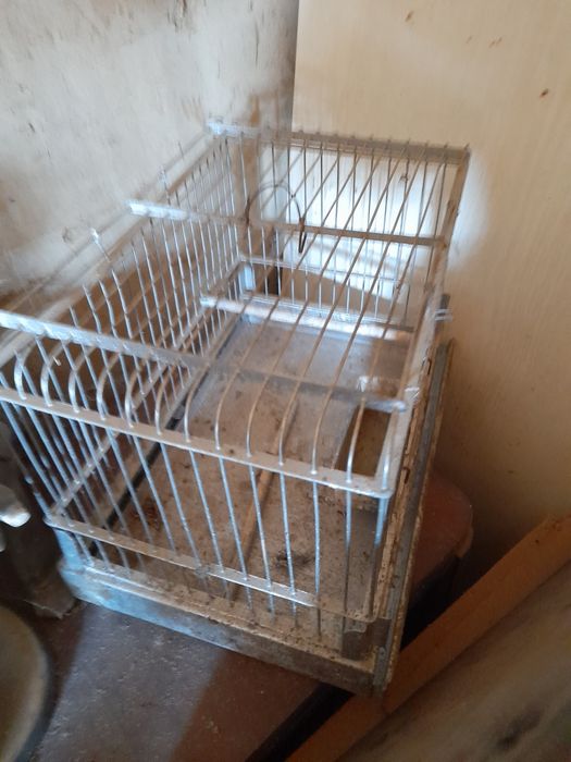 Colivii canari,papagali,