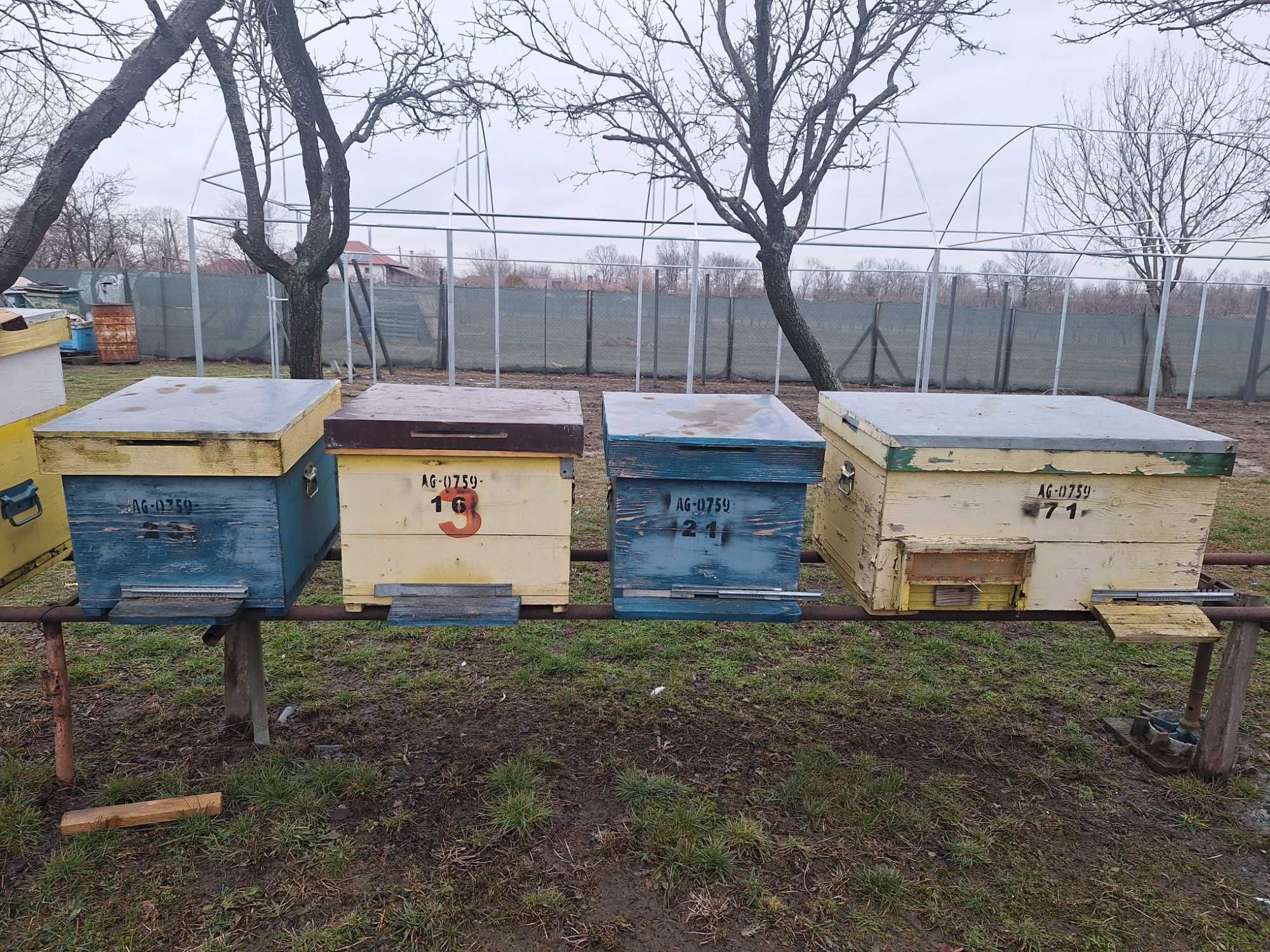 Cutii stupi de vanzare