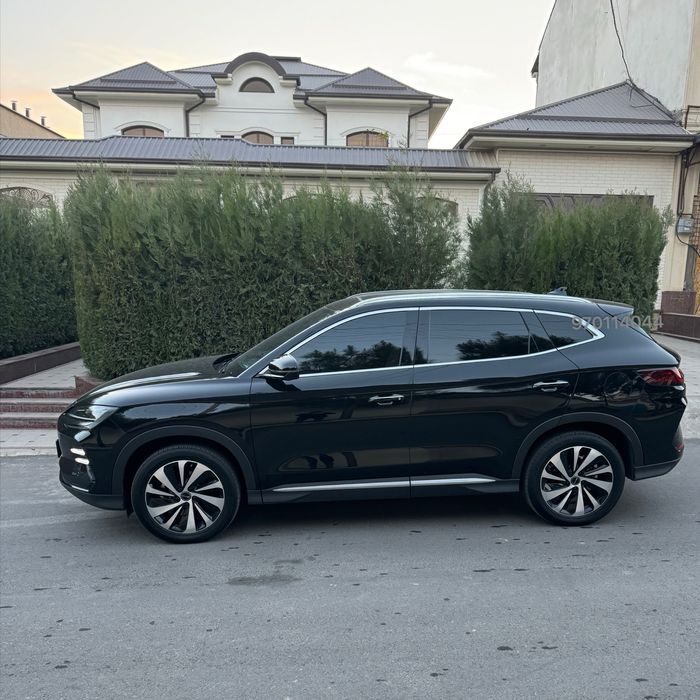 Byd champion 2024 Honor,full chempion,chempion,чемпион,сонг плюс,bivay