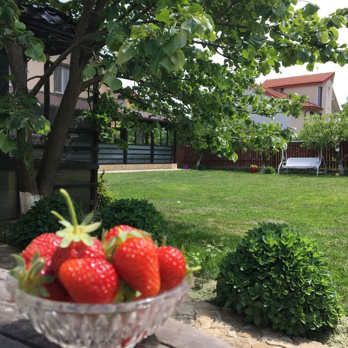 PF Casă renovată 2024, panouri solare, teren 2100 mp, Lunca Cetatuii.