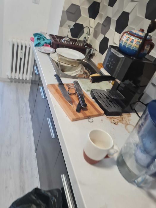 Servicii de curățenie, Amenajare gradini, curti, Desinsectie cu Abur