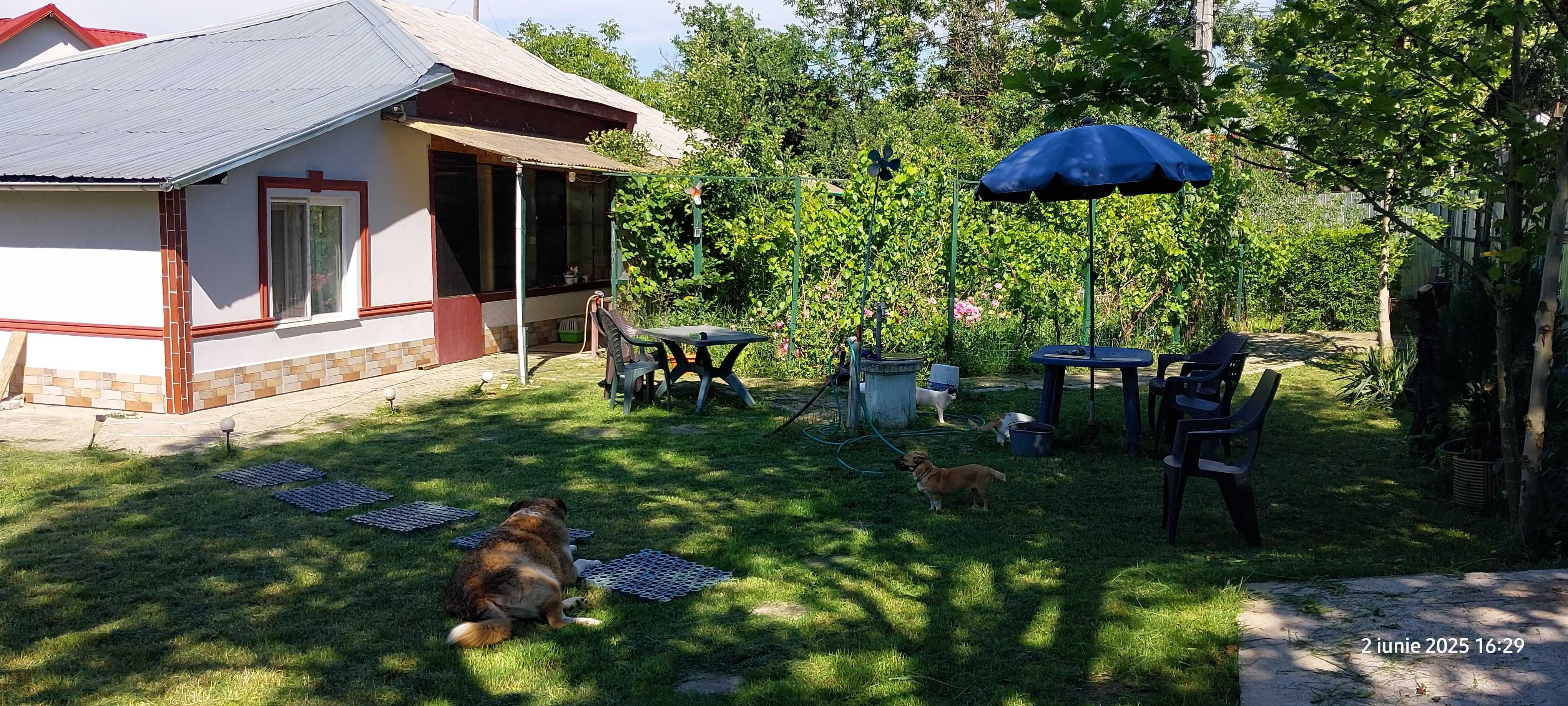 Casa si teren 1600mp gorneni gr. 100 metri de DN6  30km de pta. unirii