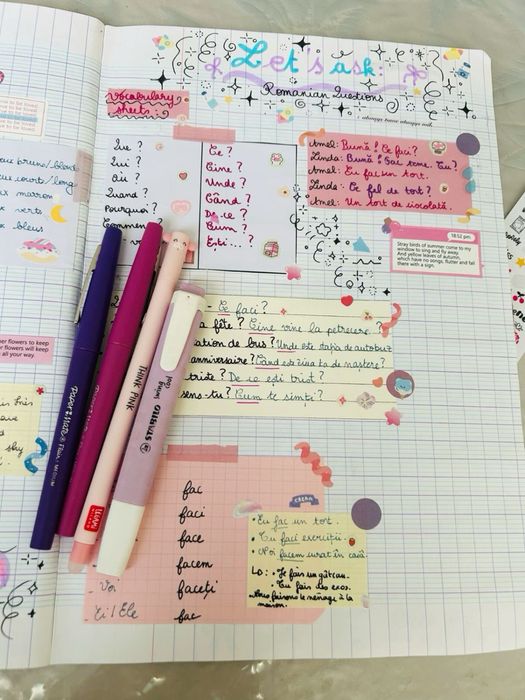 Meditatii elevi I-VIII Galati