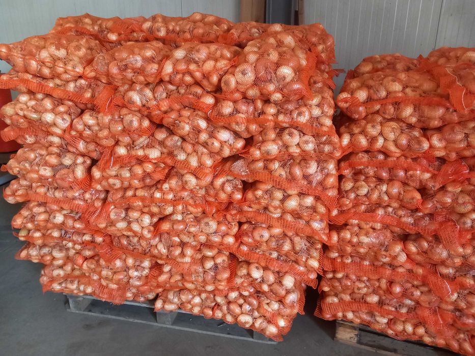 Ceapa consum Stuttgarter