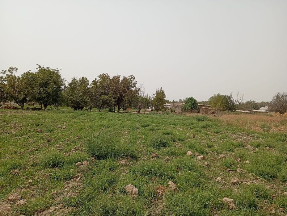 Uy joy qurish uchun va dehqonchilik uchun yer uchastkasi