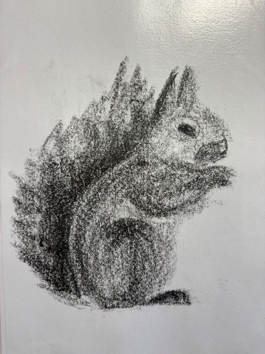 Скици с въглен 106 броя