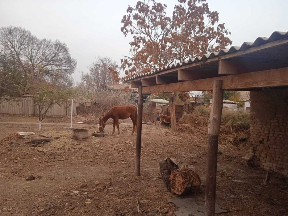 5 бөлмелі үй сатылады