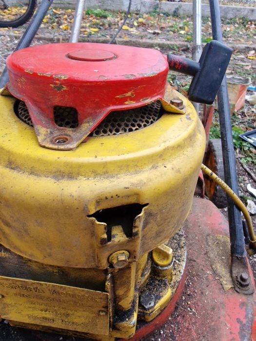 Бензинова косачка италянска