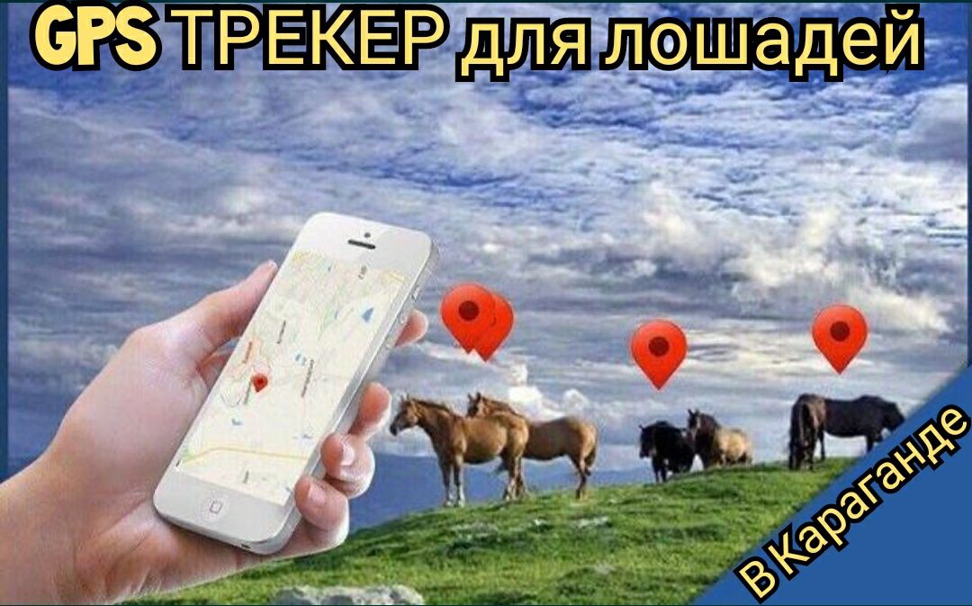 Жпс ошейник для лошадей GPS маяк малға ЖПС маяк трекер ошейник ЖПС GPS