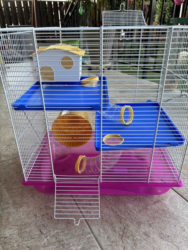 Cusca hamsteri cu tot ce va trebuie