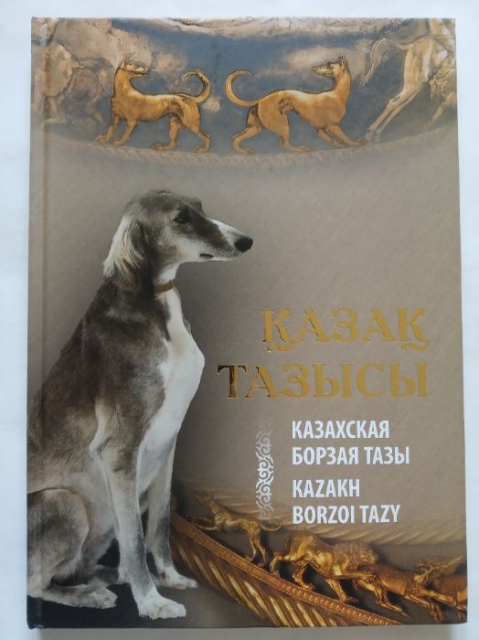 Тазы казахская борзая
