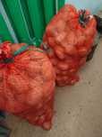 Продам картофель белорусская крупная