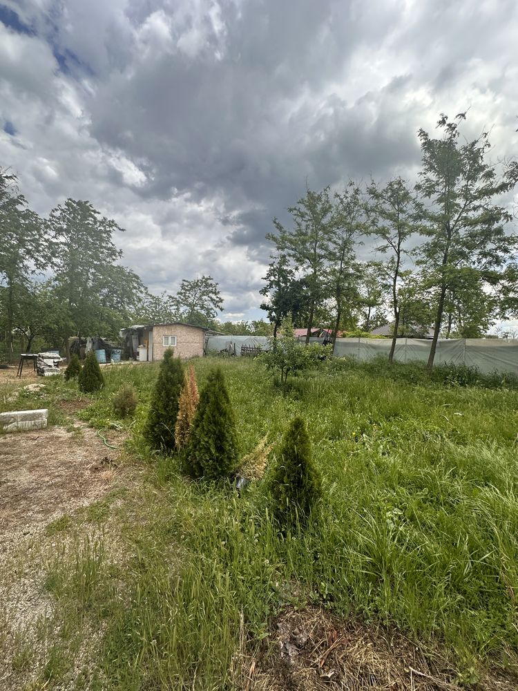 Casa visurilor tale, cu pădure proprie