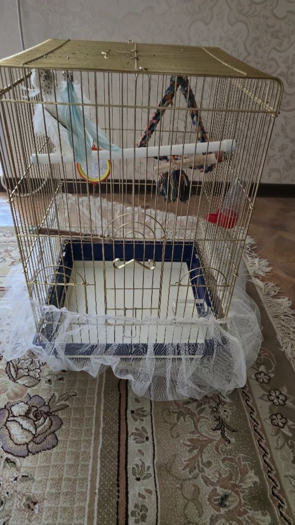Клетка для попугаев и птиц